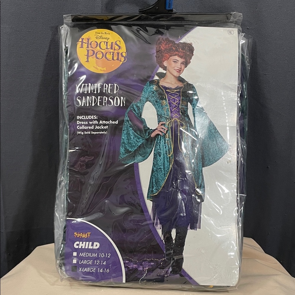 Disney Hocus Pocus Winifred Sanderson Kids Costume - Green and Purple